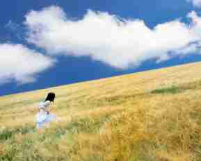 自﻿动​元‍标‌签﻿优﻿化​平‌台​